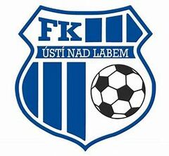 Fußball ohne Grenzen – gemeinsam am Ball - Logo
