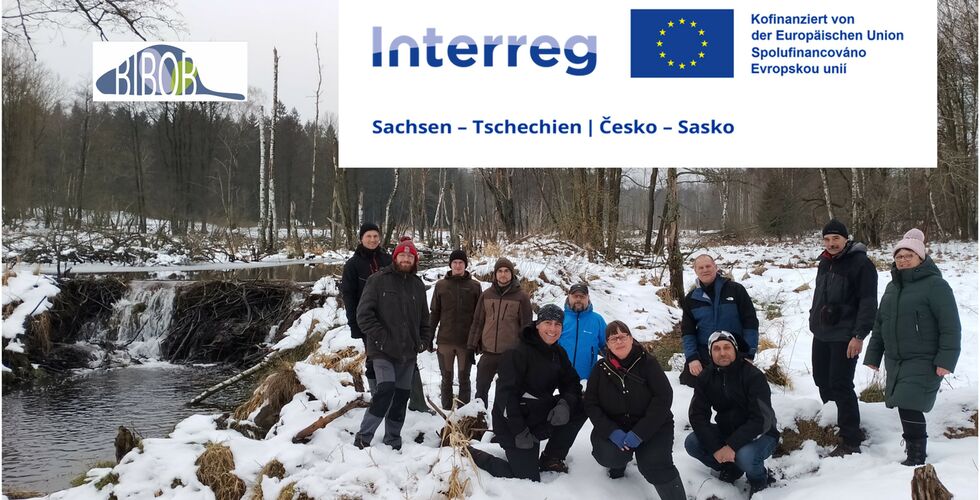 Grenzüberschreitendes Biberdamm-Management im Kontext des Klimawandels - 