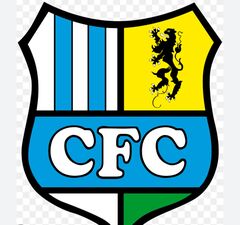 Fußball verein(t) - Inklusionsprojekt des Chemnitzer FC und FK Banik Most-Sous - Logo