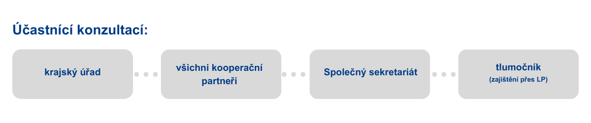 GFX | antragsteller | Beratungsteilnehmer_CZ.png